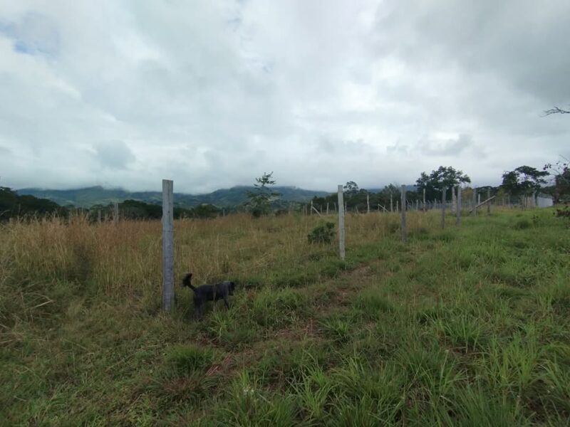 VENTA DE LOTE EN PASIZARA