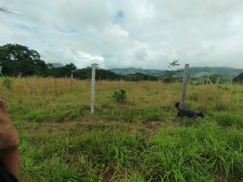 VENTA DE LOTE EN PASIZARA