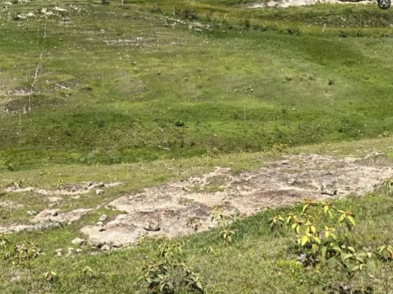 ¡¡LOTE GANGAZO EN CHACHAGÜÍ!!