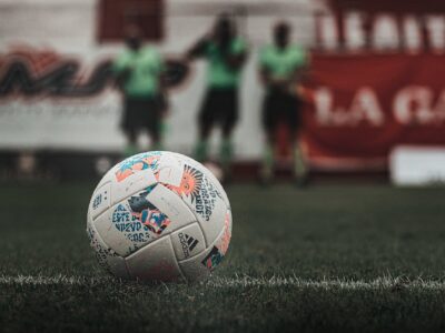 Ya llego el Álbum y laminas panini