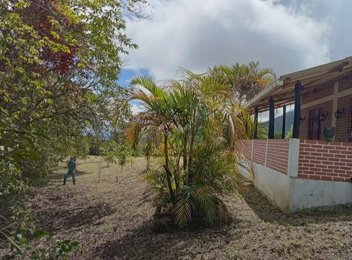 🌿🏡 SE VENDE FINCA EN CHACHAGÜÍ– VEREDA EL CONVENTO 🏡🌿