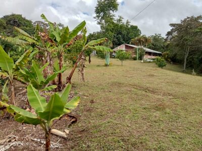 🌿🏡 SE VENDE FINCA EN CHACHAGÜÍ– VEREDA EL CONVENTO 🏡🌿