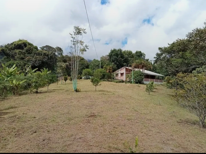 🌿🏡 SE VENDE FINCA EN CHACHAGÜÍ– VEREDA EL CONVENTO 🏡🌿