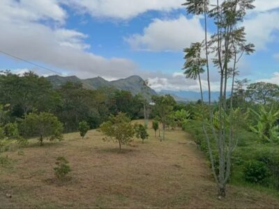 🌿🏡 SE VENDE FINCA EN CHACHAGÜÍ– VEREDA EL CONVENTO 🏡🌿