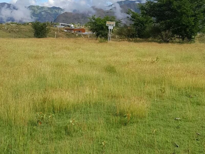 Se vende o permuta lote en cimarrones-chachagüí